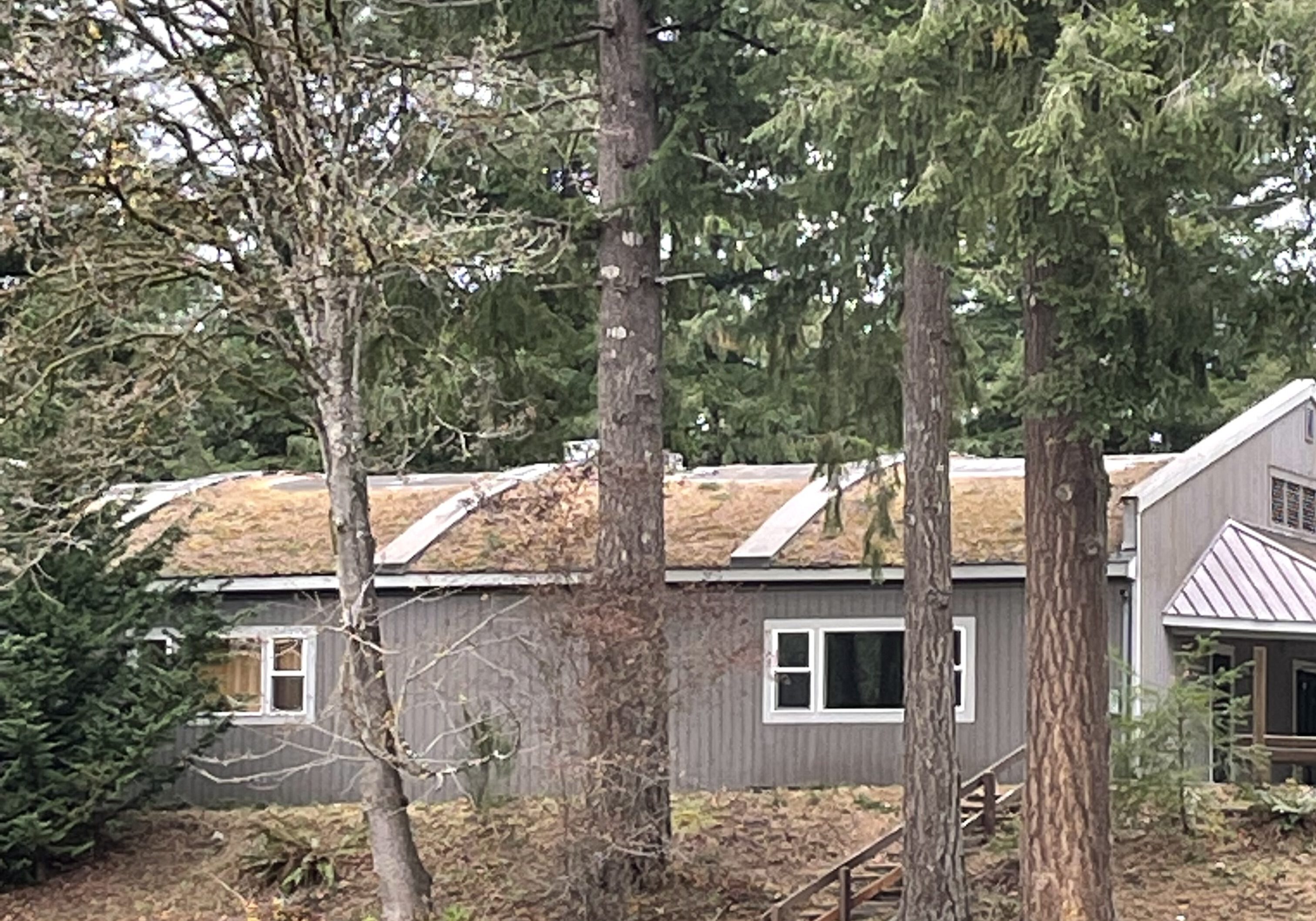 Chapel Roof Before Chapel Roof Before